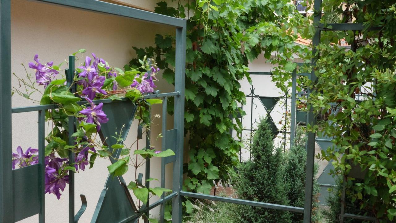Kompleks Apartmana Superstar23A Sokobanja Exterior foto