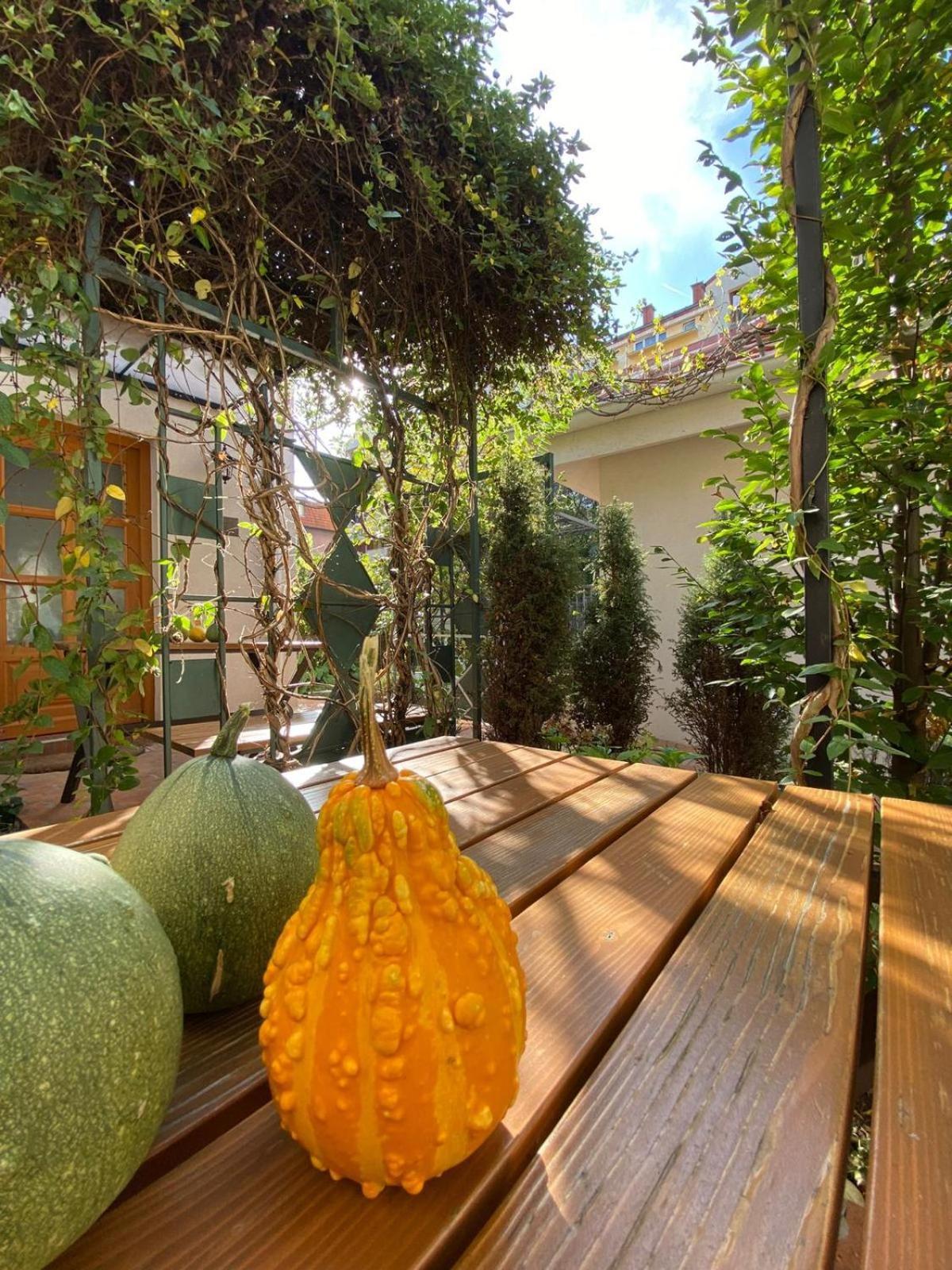 Kompleks Apartmana Superstar23A Sokobanja Exterior foto